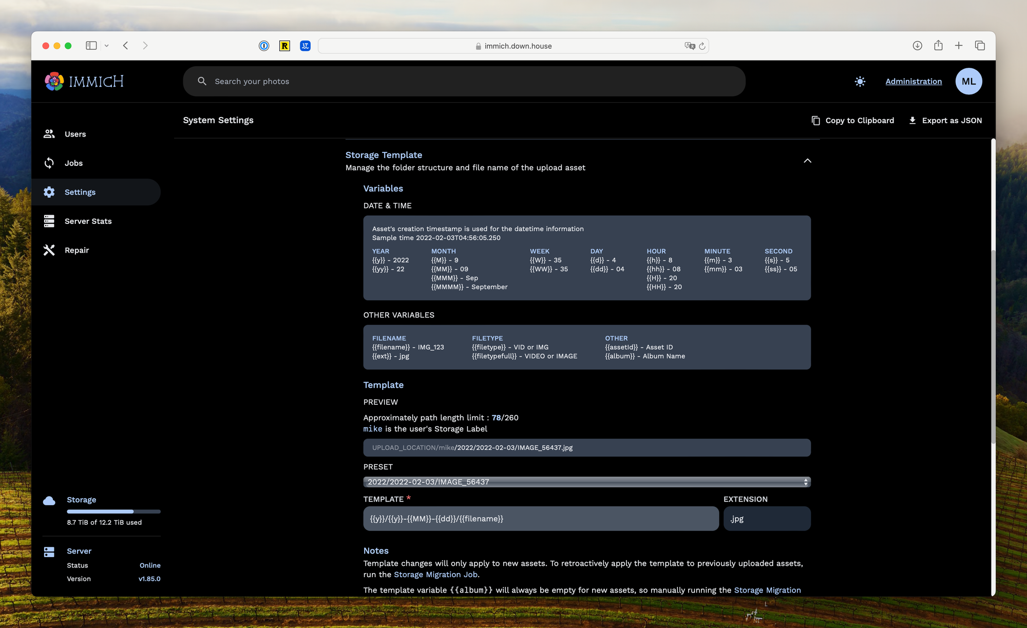 A screenshot of the admin panel in Immich